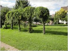 Bild_2